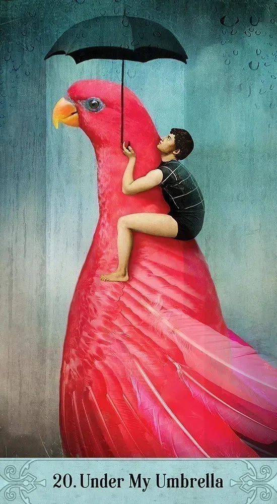 Oracle of Mystical Moments 52 Vintage Oracle Cards 44 Page Instruction Guidebook