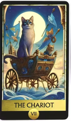Cat Tarot Mystical Feline Tarot 78 Card Deck for Experienced and Novice Readers